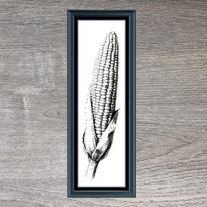 Può includere: Stampa incorniciata in bianco e nero di una pannocchia di mais, intitolata "Tasty Corn". L'opera d'arte è un'illustrazione dettagliata a penna e inchiostro. La cornice è scura e la stampa misura 170 x 676 cm.