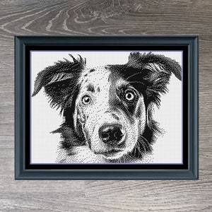 May include: Black and white pixel art image of a Border Collie dog's head in a black frame. The image is titled "Border Collie" and the dimensions are 280 x 208.