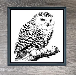 May include: Black and white cross-stitch pattern of a snowy owl with a 201 x 212 stitch count. The pattern is framed in a black frame and set against a woodgrain background. The text "Snowy Owl" is below the image.