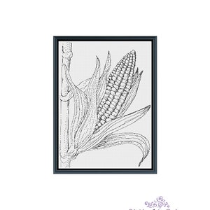 Könnte beinhalten: Schwarz-weiß-Zeichnung eines Maiskolbens in einem Rahmen. Die Zeichnung trägt den Titel "Corn".
