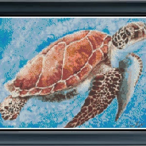 May include: A close-up of a sea turtle swimming in blue water. The turtle has a brown shell with orange and red markings. The turtle's head is turned to the side, and its eyes are closed.