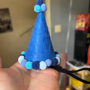 Cat Birthday Hat