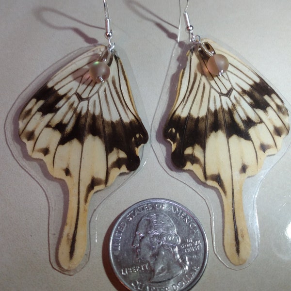 African White Swallowtail Earrings with Mermaid Glass