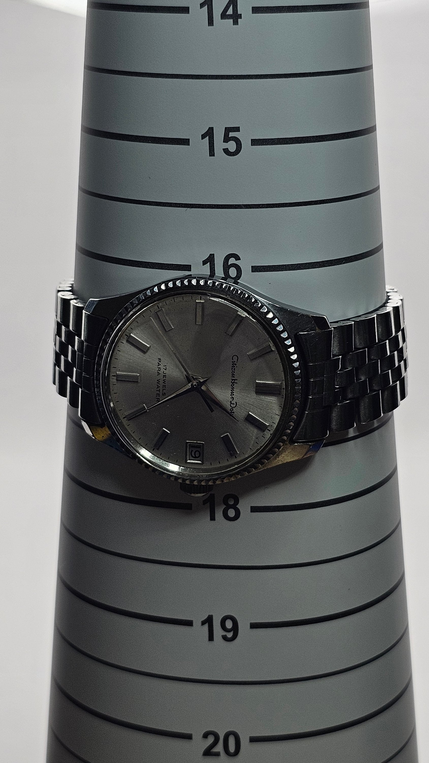 Rare Japan Wristwatch Citizen Homer Date Para Water 17