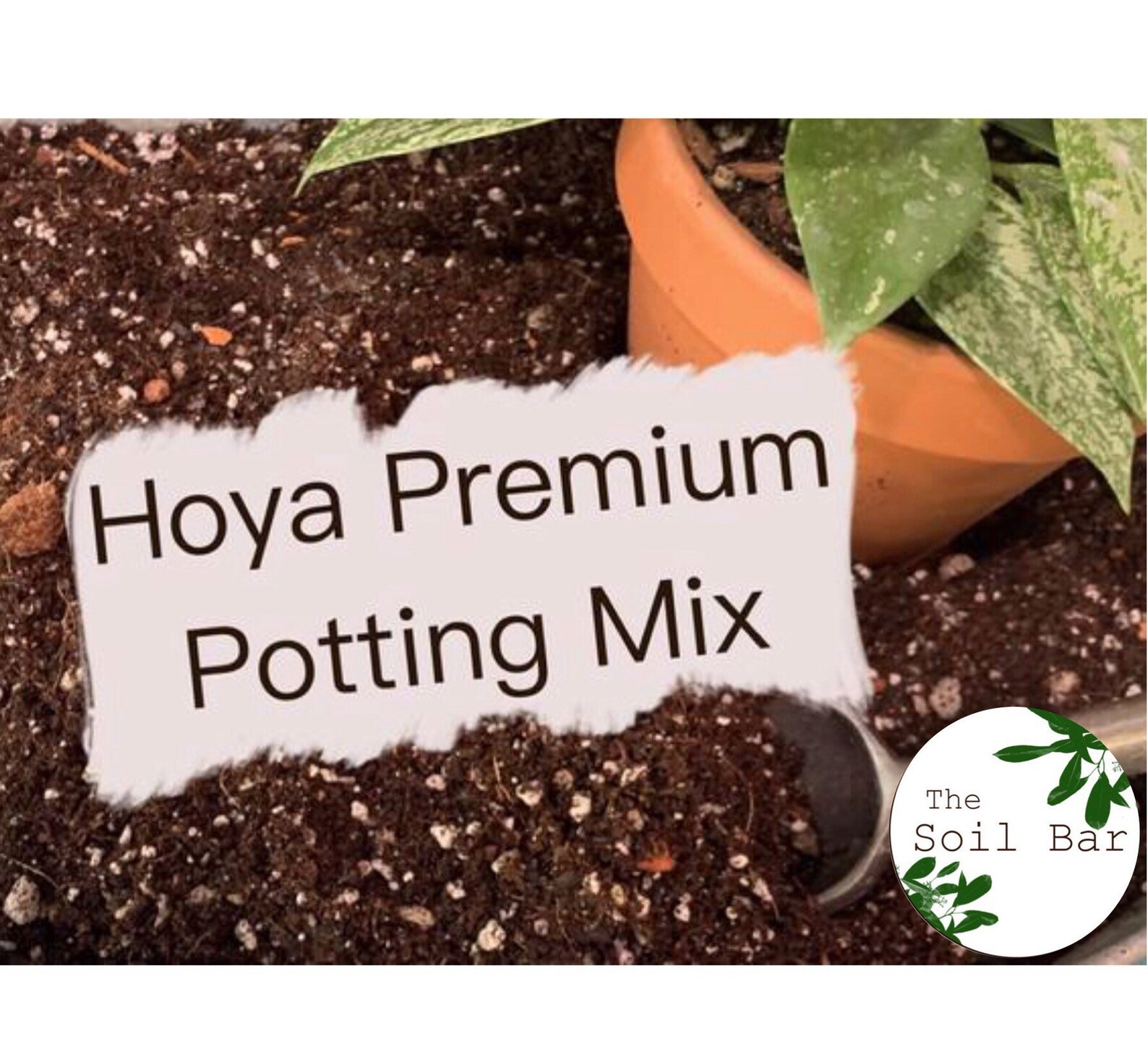 Hoya Potting Mix houseplant soil plant care Hoya care Etsy