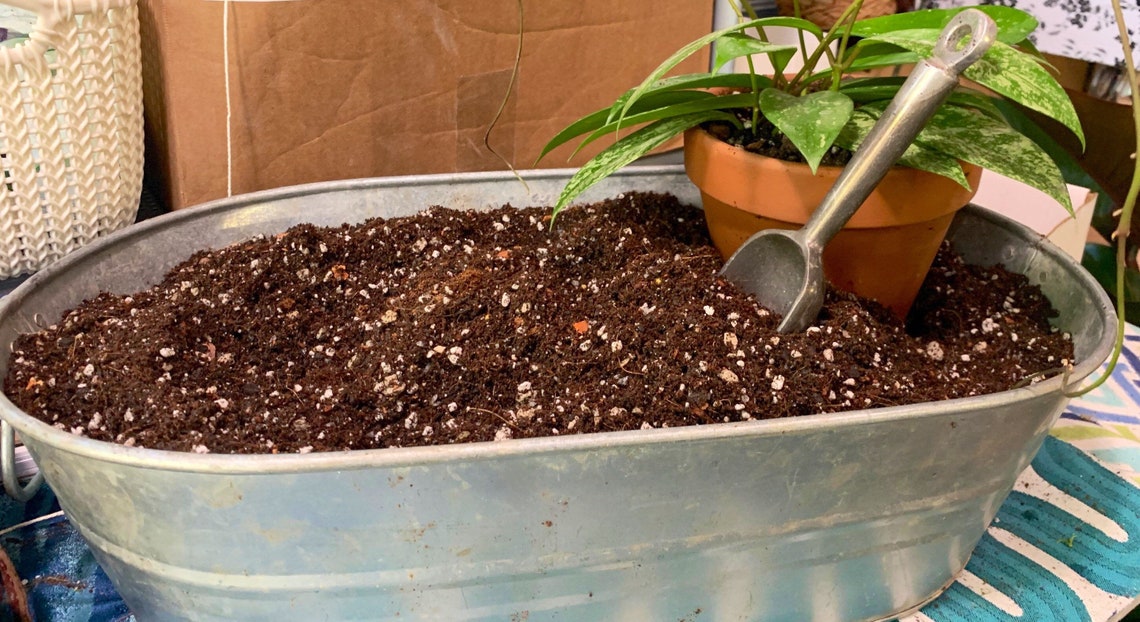Hoya Potting Mix houseplant soil plant care Hoya care Etsy