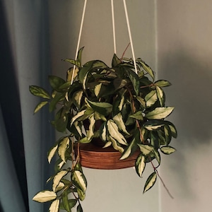 Plant hanger, small planter, indoor planter, wood hanger, plant stand, plant art, plant decor, wood art, hanging plants, planter, plants