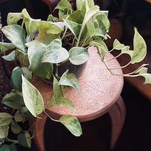 Monsterablad, plantenstandaard, bijzettafel, plantenplank, cadeau voor plantenliefhebber, valentijnscadeau voor vrouw, hoge standaard, houten tafel, woonkamer