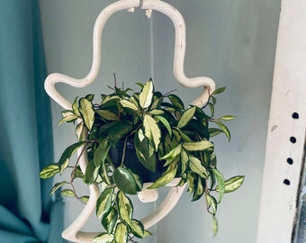 Ghost plant hanger, indoor planter, hanging planter, plant stand, plant hanger, gift for plant lover, spooky decor, Halloween decor, plants