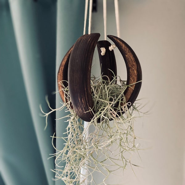 May include: A hanging planter made of dark brown wood with a spherical shape. The planter is filled with a light green air plant.