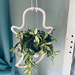 Colgador de plantas fantasma, maceta de interior, maceta colgante, soporte para plantas, colgador de plantas, regalo para amantes de las plantas, decoración espeluznante, decoración de Halloween, plantas