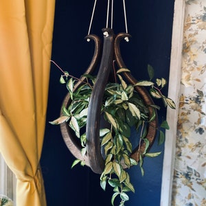 May include: A dark brown wooden plant hanger with a unique design, hanging from the ceiling with white string. A green and white variegated plant is growing inside the hanger.