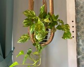 Hanging Plant Basket ( small ), boho, rustic, plant hanger, planters, macrame, indoor plant stand, plant stand, for him, gift, plants, pots