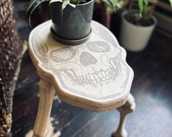 May include: A white skull-shaped side table with four legs, featuring a detailed anatomical illustration of a human skull. A potted plant with green leaves sits on top of the table.