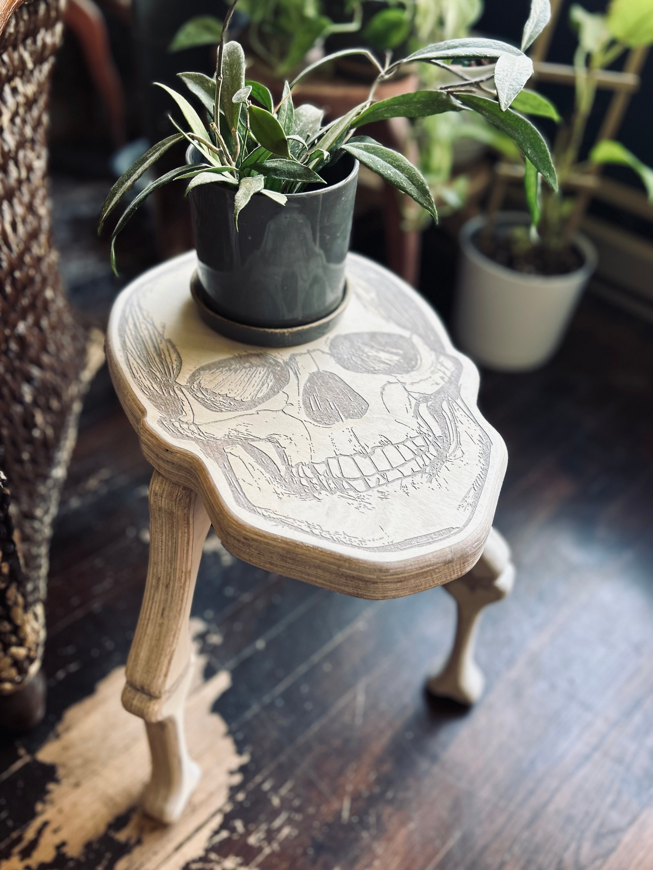 Bone Daddy, Plant Stand, Skull, Skeleton, Bones, Plant Decor