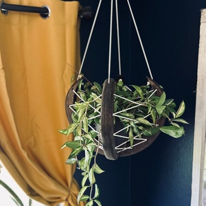 Woven ball, plant hanger, wood planter, indoor plant hanger, plant stand, gift for plant lover, gift for wife, plant decor, macrame, plants image 4