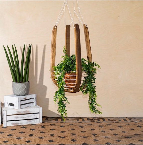 sansevieria green granite Sansevieria Star Canyon Granite | Sansevieria Coppertone | Plants