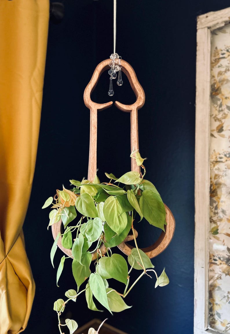 Mr. Morningwood, plant hanger, wood planter, plant stand, plant pot, gift for plant lover, Christmas gift for wife, home decor, plant art image 3