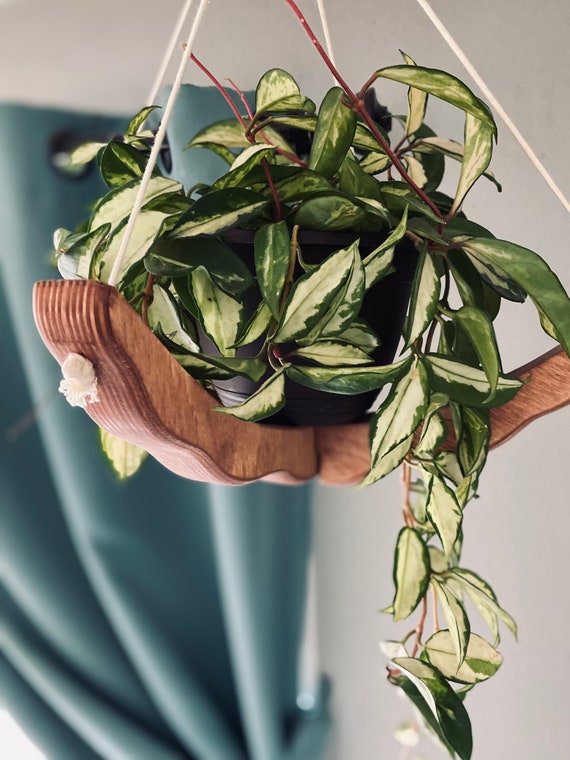 Wavy Plant Hanger, Indoor Plant Hanger, Planter, Wood Plant
