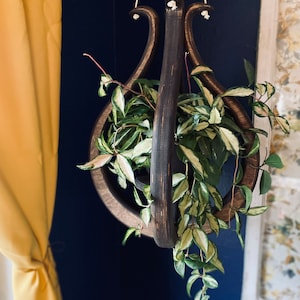May include: A dark wooden hanging planter shaped like a lyre, with a trailing plant with green and white leaves.