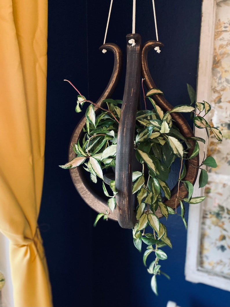May include: A dark wooden hanging planter shaped like a lyre, with a trailing plant with green and white leaves.