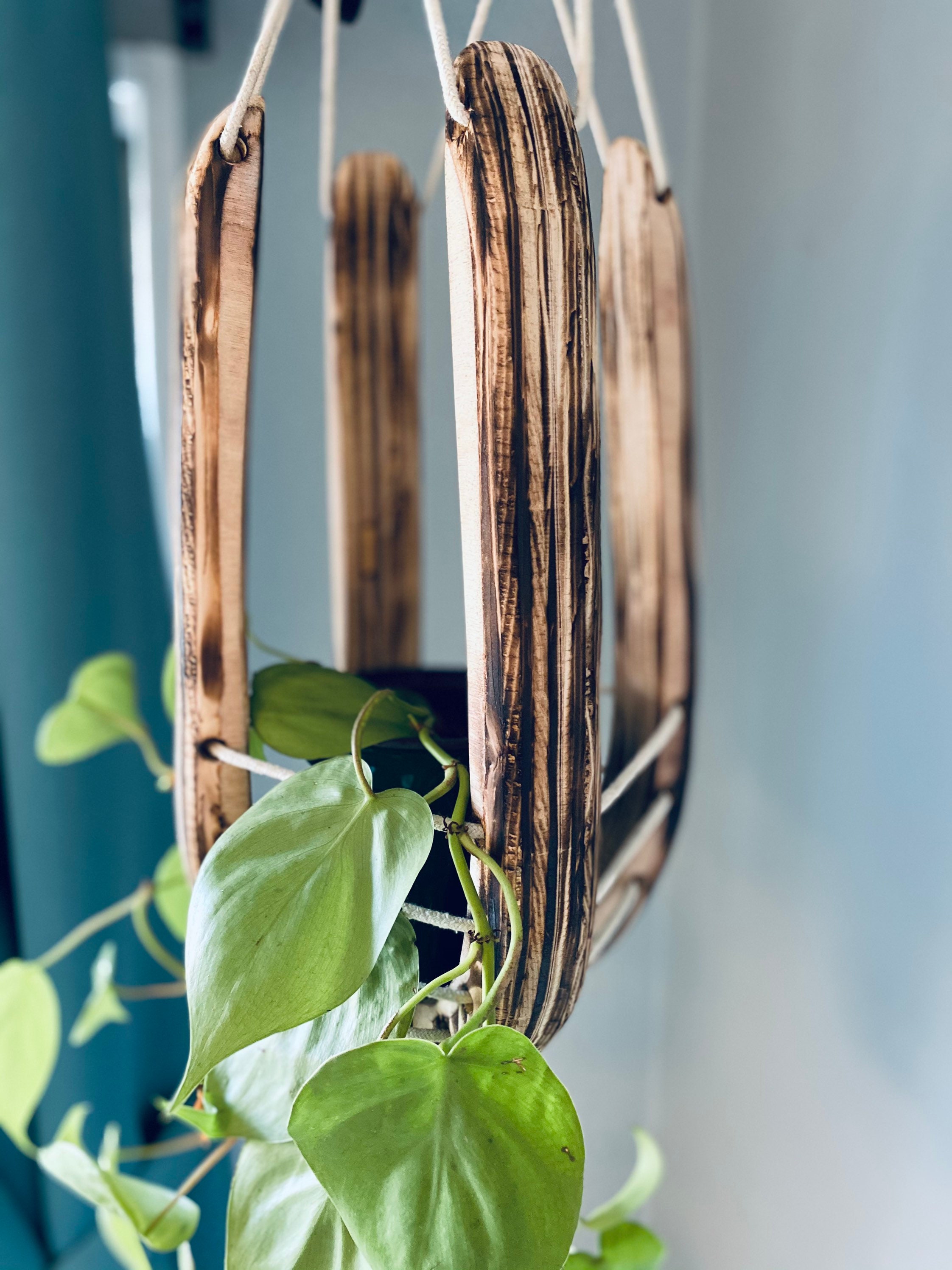 Wood plant hanger, burned wood, hanging plant basket, plant holder, indoor plant hanger, indoor plants, rustic decor, housewarming gift,
