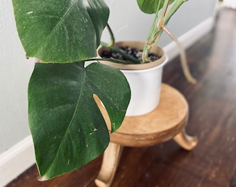 Kurzer Blumenhocker, Blumenhocker, Blumenbank, Holz Übertopf, Zimmerpflanzenhocker, kleine Hocker, Pflanzenregal, Geschenk für Pflanzenliebhaber,
