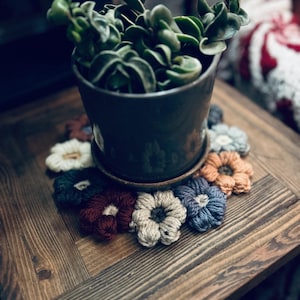 Pode incluir: Uma pequena planta em vaso com folhas verdes está sobre uma mesa de madeira com um descanso de copo de crochê com flores coloridas em tons de azul, vermelho, branco e bege.