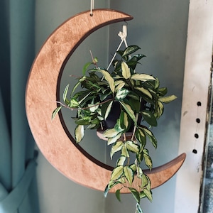 May include: A wooden crescent moon plant hanger with a trailing plant in a small pot. The hanger is made of light brown wood and has a natural finish. The plant has green leaves with white variegation.