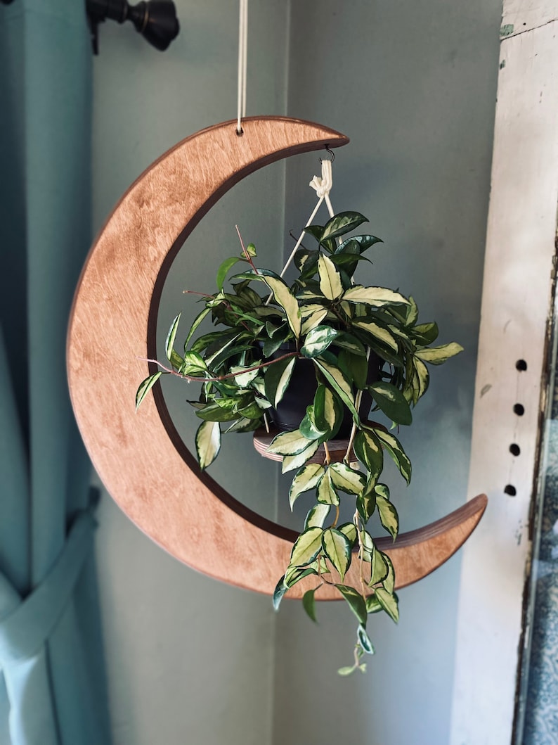 May include: A wooden crescent moon plant hanger with a trailing plant in a small pot. The hanger is made of light brown wood and has a natural finish. The plant has green leaves with white variegation.