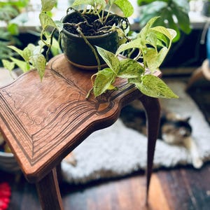 Bok, växtställ, växtpall, sidobord, boho-inredning, trädgårdsdekor, present till växtälskare, födelsedagspresent till mamma, jubileumspresent