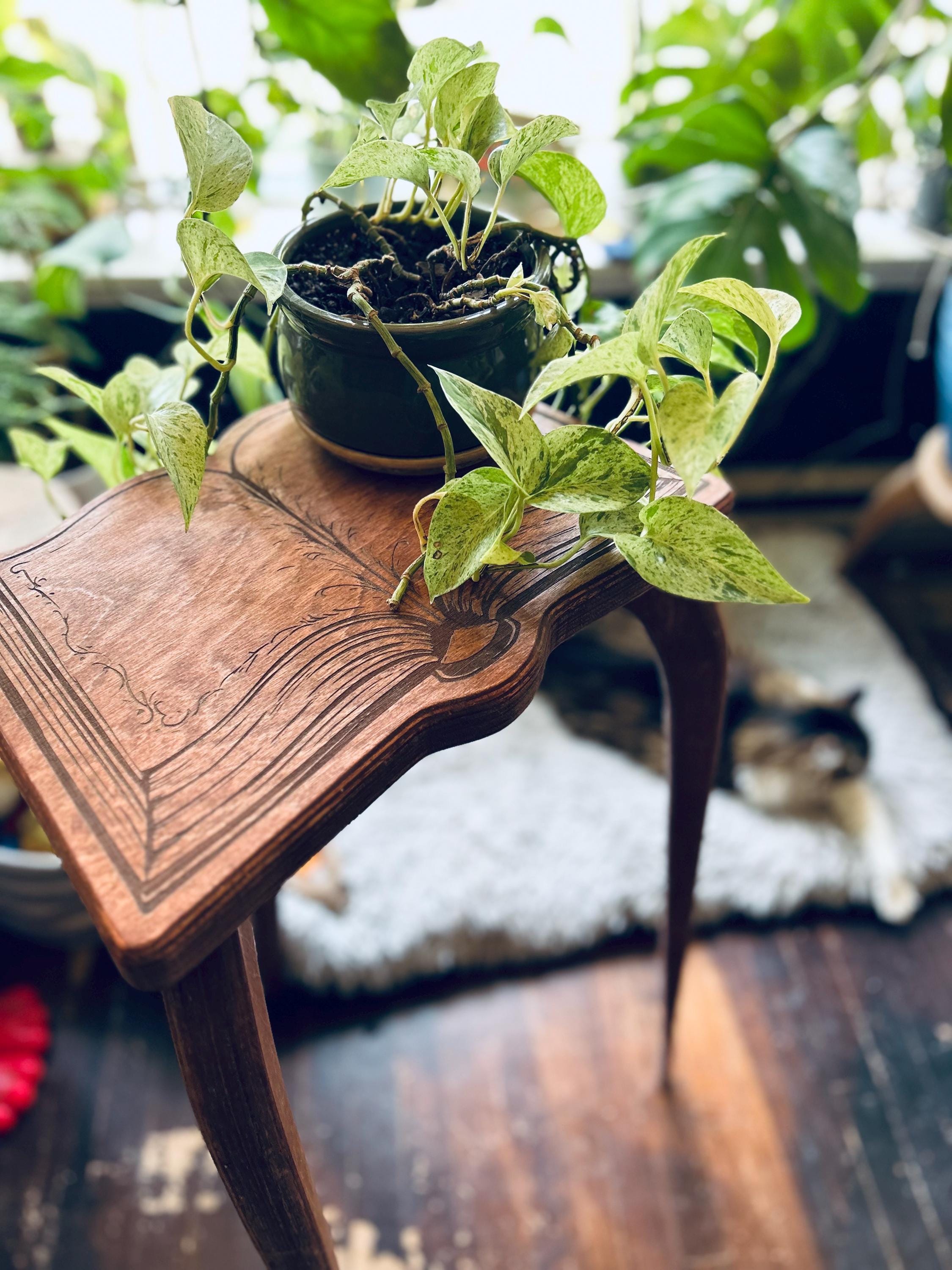 Book Stool - Etsy