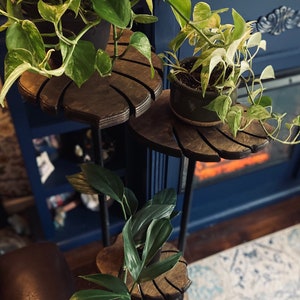 May include: A three-tier plant stand with a black metal frame and wooden shelves shaped like palm leaves. The shelves are decorated with a dark wood stain. The stand is holding three potted plants, two with variegated leaves and one with solid green leaves.