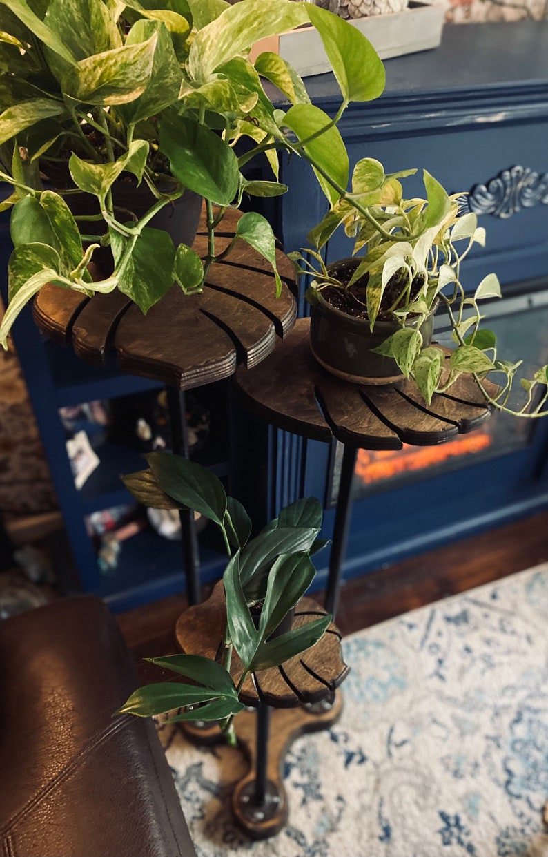 May include: A three-tier plant stand with a black metal frame and wooden shelves shaped like palm leaves. The shelves are decorated with a dark wood stain. The stand is holding three potted plants, two with variegated leaves and one with solid green leaves.