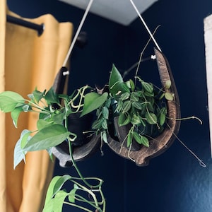 Lady Nips, colgador de plantas, decoración de plantas, soporte para plantas, jardinera, regalo para amantes de las plantas, decoración divertida, regalo de Navidad para mamá, regalo de cumpleaños, planta