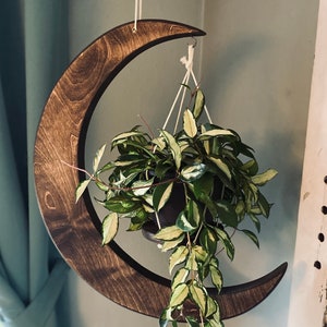 May include: A dark brown wooden crescent moon hanging planter with a green and white variegated plant hanging from it.