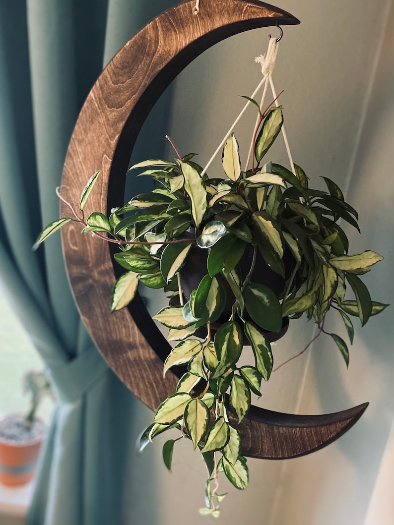 May include: A wooden crescent moon planter with a hanging plant. The plant has green and white variegated leaves and is hanging from a white macrame cord.