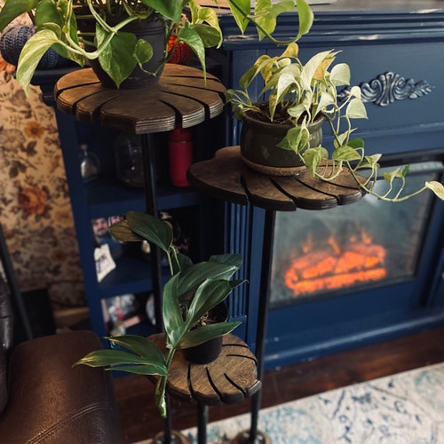 succulent driftwood planter DIY Succulent Log Planter Kit - Light Driftwood Style Resin Planter with 3  Planting Areas  Beach Wood Look - Drainage