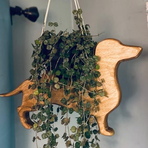 Dachshund, plant hanger, plant stand, indoor planter, plant shelf, gift for dog lover, gift for plant lover, plant decor, dog stuff, planter