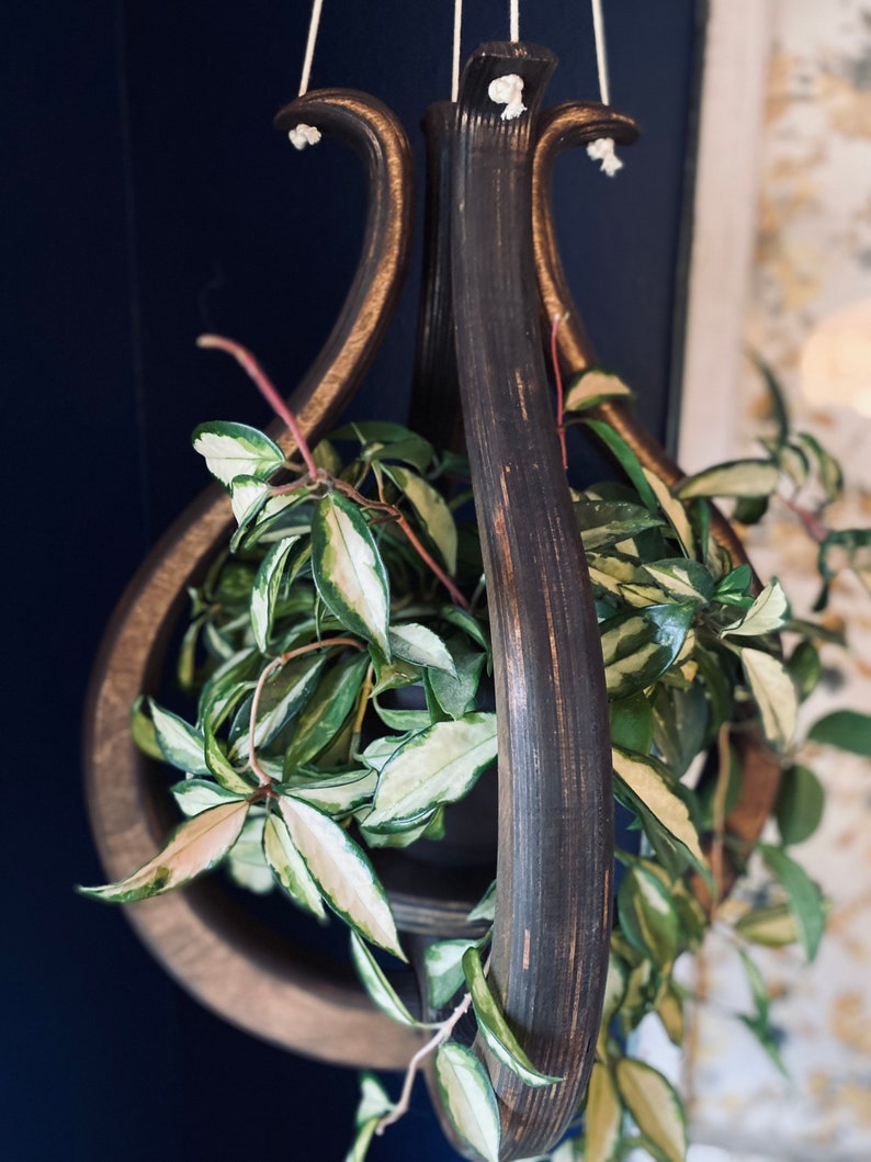 May include: A dark brown wooden hanging planter with a unique design. The planter is filled with a green and white variegated plant with trailing vines.