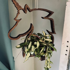 May include: A wooden unicorn-shaped hanging planter with a green and white variegated plant growing inside.
