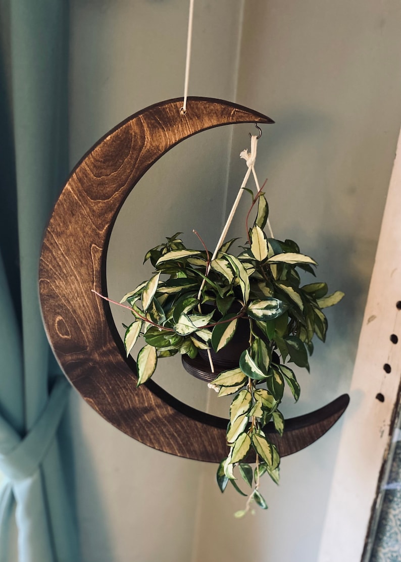 May include: A wooden crescent moon plant hanger with a green and white variegated plant hanging from it.