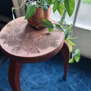 May include: A wooden stool with a round top and three legs. The top of the stool has a carved design of pine cones. A potted plant with green leaves is sitting on the stool. The stool is on a blue rug.