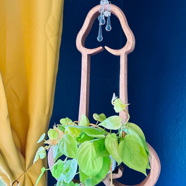 Mr. Morningwood, plant hanger, wood planter, plant stand, plant pot, gift for plant lover, Christmas gift for wife, home decor,  plant art