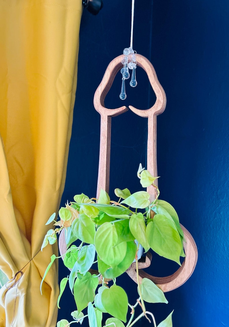Mr. Morningwood, plant hanger, wood planter, plant stand, plant pot, gift for plant lover, Christmas gift for wife, home decor, plant art image 1