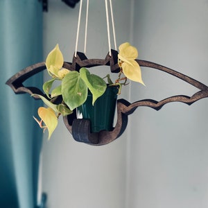 May include: A wooden bat-shaped hanging planter with a green plant inside. The planter is hanging from a white string.