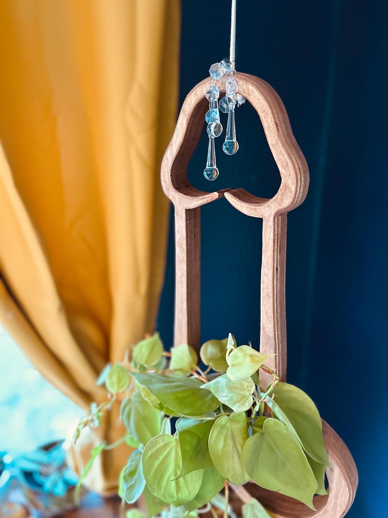 May include: A wooden plant hanger shaped like a human body part with a crystal garland hanging from the top. A green plant is growing inside the hanger.