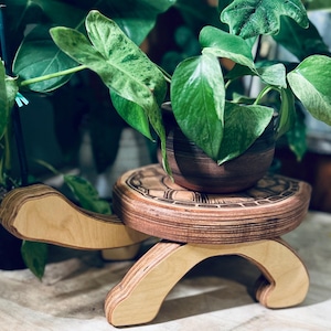 Schildpadplantenstandaard, dier, schildpad, plantendecor, plantenplank, bijzettafel, woonkamer, kantoor, kinderdecor, woondecoratie, cadeau