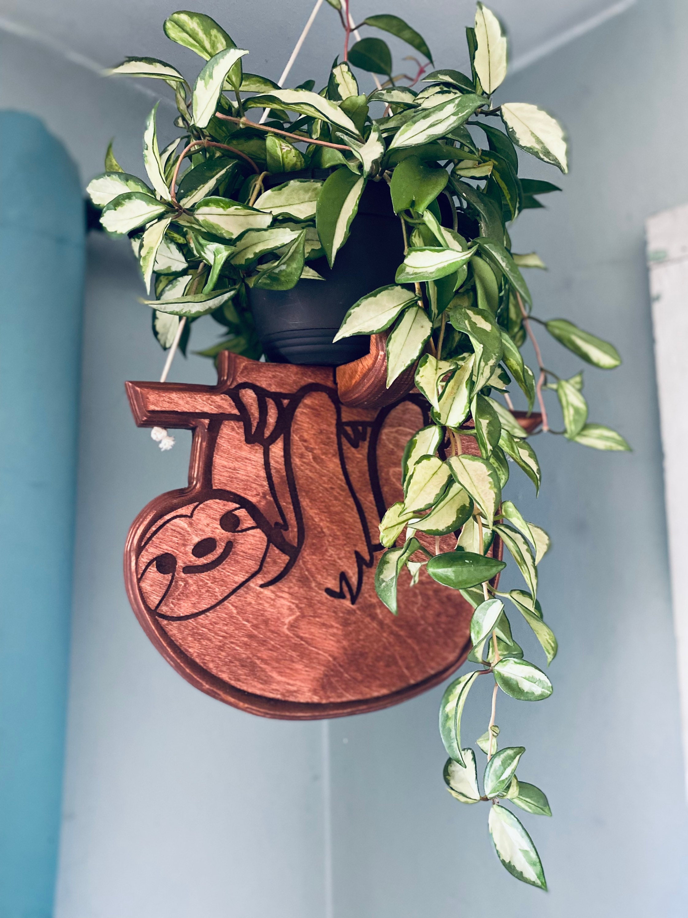 Colgador de plantas con forma de perezoso, colgador de plantas, soporte para plantas, decoración de plantas, jardinera colgante, decoración de perezoso, regalo para amantes de las plantas, regalo para amantes de los perezosos, madera