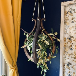 May include: A dark wooden hanging planter with a leafy plant inside. The planter is hanging from a white cord against a dark blue wall. The plant has green leaves with white variegation.